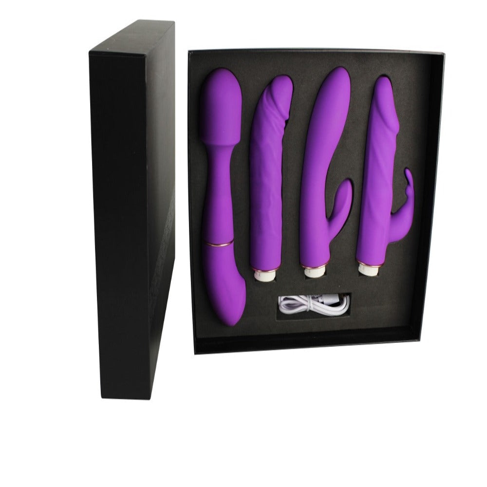 Luxury 4 in 1 interchangeable Vibrator Sex Toy Kit